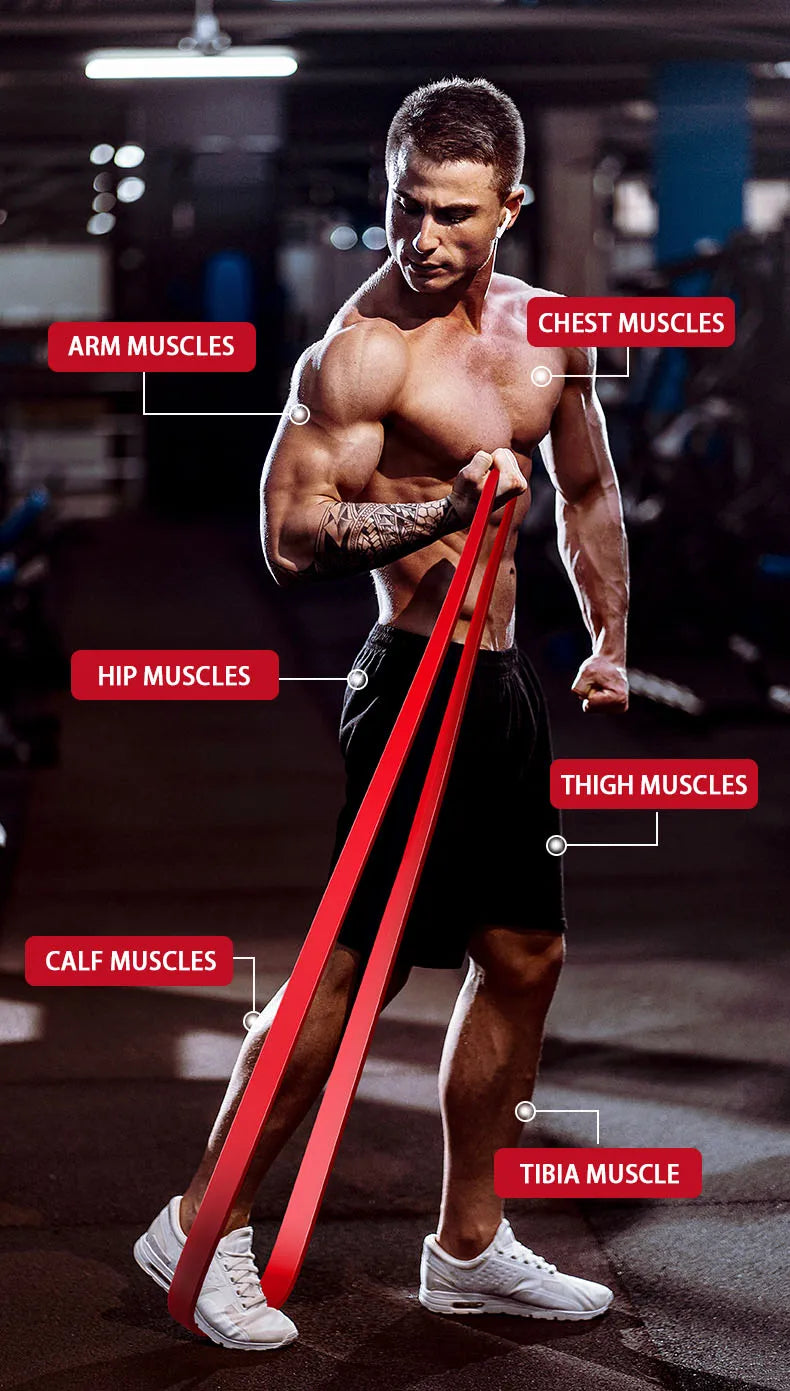 Unlock Your Fitness Potential With Resistance Bands: Strength Training, Body Building, Working Out, Stretching, Home Gym & More